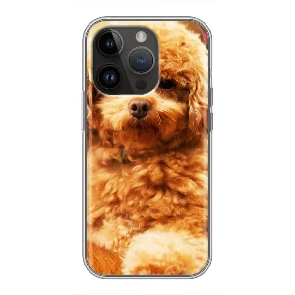Чехол с принтом «Щенок Бишон» для iPhone 14 Pro Max Чехол с принтом «Щенок Бишон» для iPhone 14 Pro Max