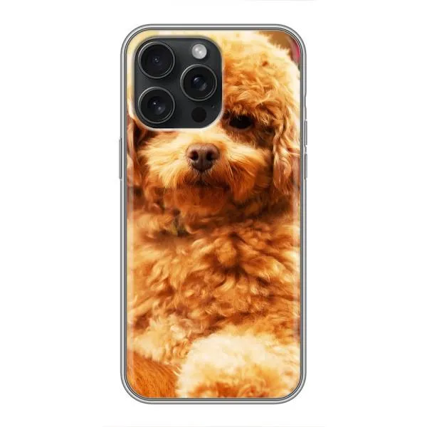 Чехол с принтом «Щенок Бишон» для iPhone 15 Pro Max