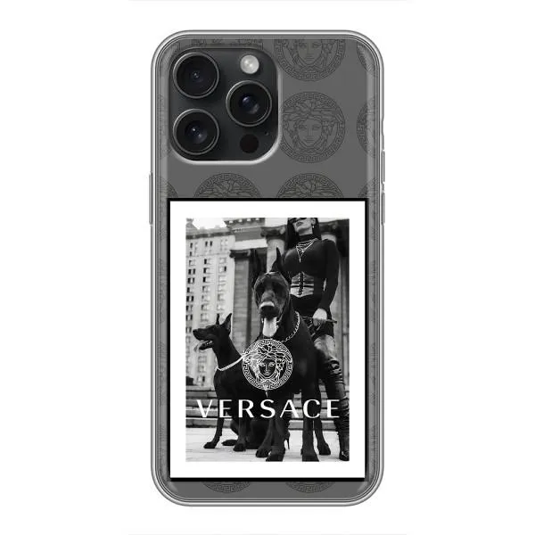 Чехол с принтом «Версаче» для iPhone 16 Pro Max