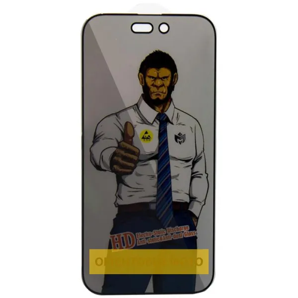 Захисне скло Privacy 5D Anti-Static (тех.пак) для Apple iPhone 17 / 16 Pro (6.3") — Чорний