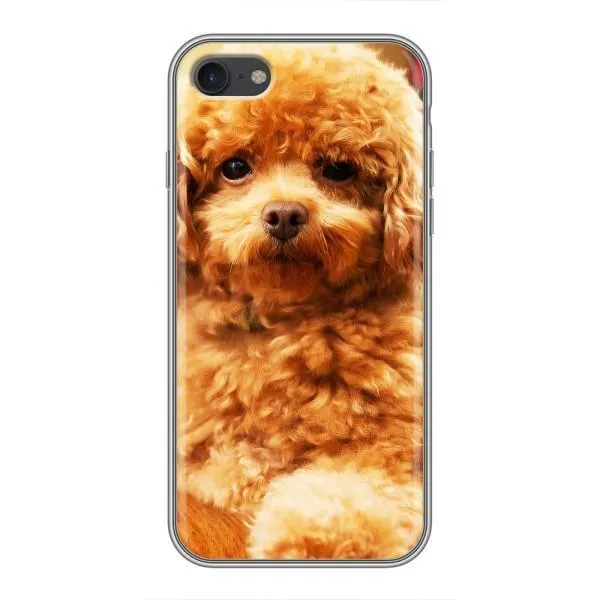 Чохол з принтом «Цуценя Бішон» для iPhone 7 Чохол з принтом «Цуценя Бішон» для iPhone 7
