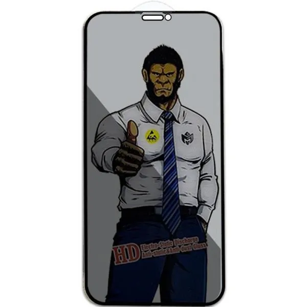 Захисне скло Privacy 5D Anti-Static (тех.пак) для Apple iPhone 11 Pro / X / XS (5.8") — Чорний