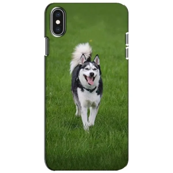 Чехол с принтом «Радостный Хаски» для iPhone Xs