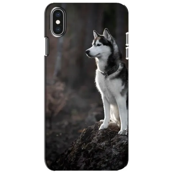 Чехол с принтом «Верный пес» для iPhone Xs