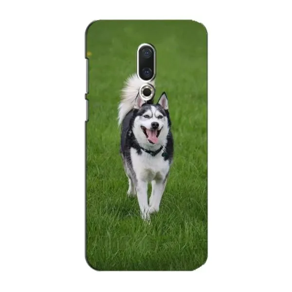 Чехол с принтом «Радостный Хаски» для Meizu 15 Plus