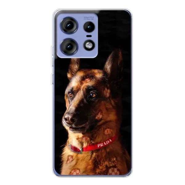 Чехол с принтом «Овчарка» для Motorola Edge 50 Pro