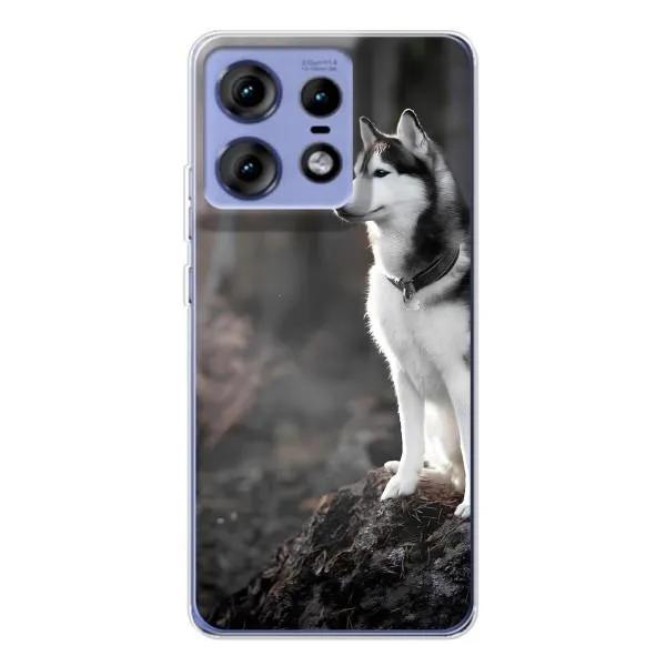 Чехол с принтом «Верный пес» для Motorola Edge 50 Pro Чехол с принтом «Верный пес» для Motorola Edge 50 Pro