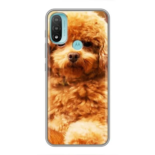 Чехол с принтом «Щенок Бишон» для Motorola MOTO E20