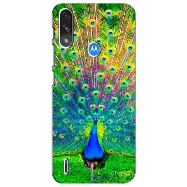 Чехол с принтом «Яркий Павлин» для Motorola E7 Power