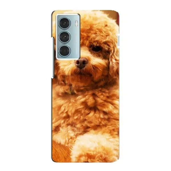 Чехол с принтом «Щенок Бишон» для Motorola MOTO G200