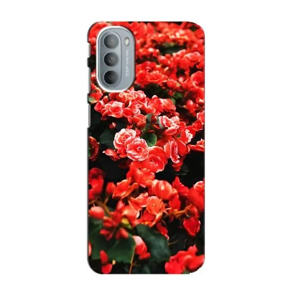 Чохол з принтом «Квіти червоні» для Motorola MOTO G31