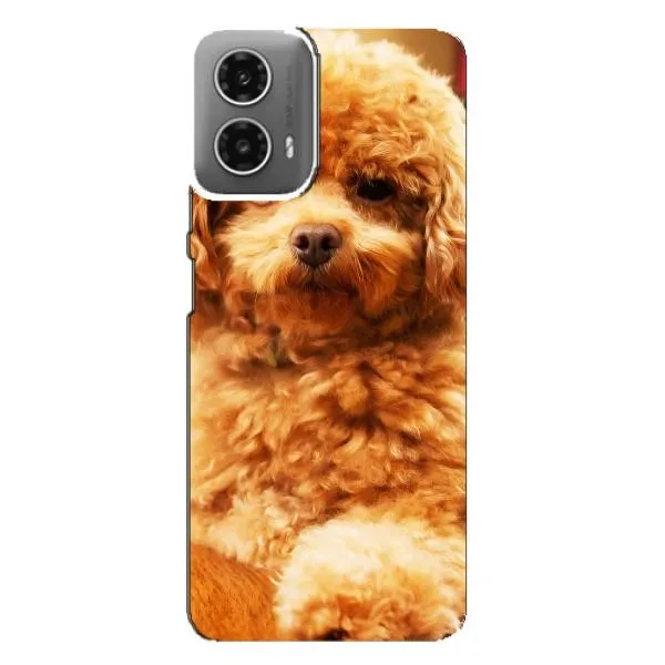 Чехол с принтом «Щенок Бишон» для Motorola MOTO G34