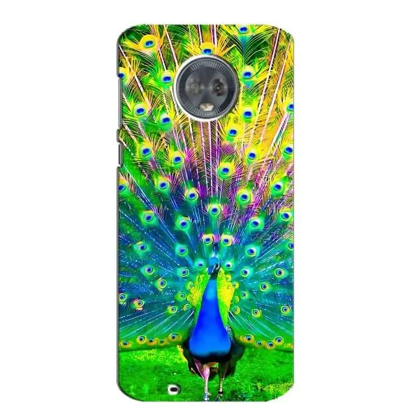 Чохол з принтом «Яскравий Павлин» для Motorola MOTO G6