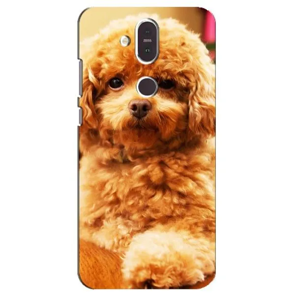 Чехол с принтом «Щенок Бишон» для Nokia 8.1 (2018)