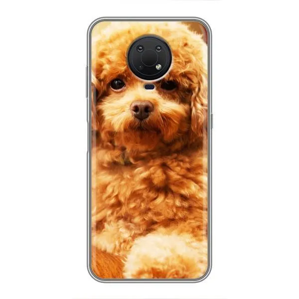 Чехол с принтом «Щенок Бишон» для Nokia G10 Чехол с принтом «Щенок Бишон» для Nokia G10
