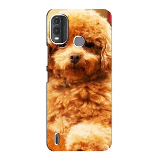 Чехол с принтом «Щенок Бишон» для Nokia G11 Plus Чехол с принтом «Щенок Бишон» для Nokia G11 Plus