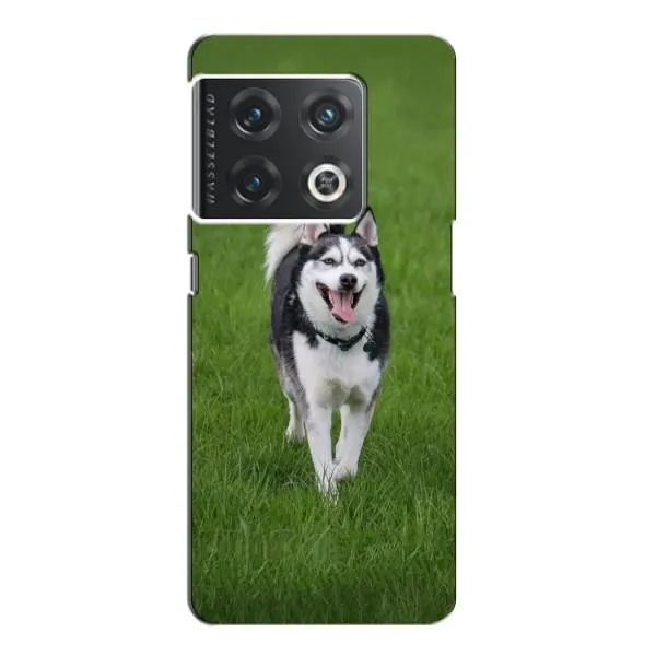 Чехол с принтом «Радостный Хаски» для OnePlus 10 Pro