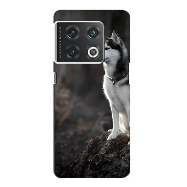 Чехол с принтом «Верный пес» для OnePlus 10 Pro