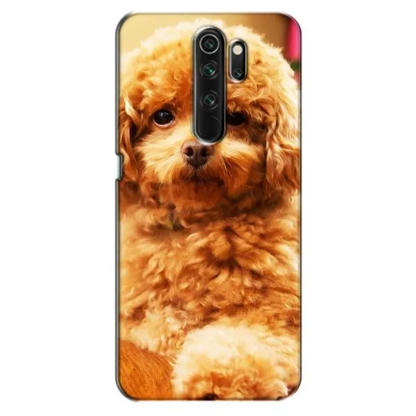 Чехол с принтом «Щенок Бишон» для OPPO A5 (2020)