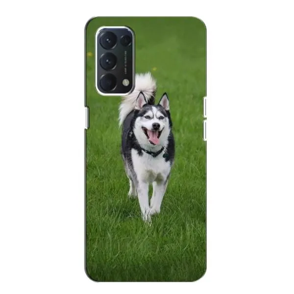 Чехол с принтом «Радостный Хаски» для OPPO A74