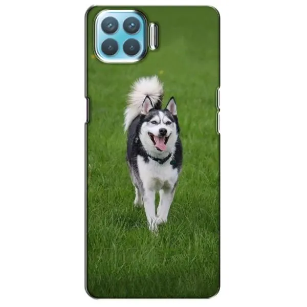 Чехол с принтом «Радостный Хаски» для OPPO F17