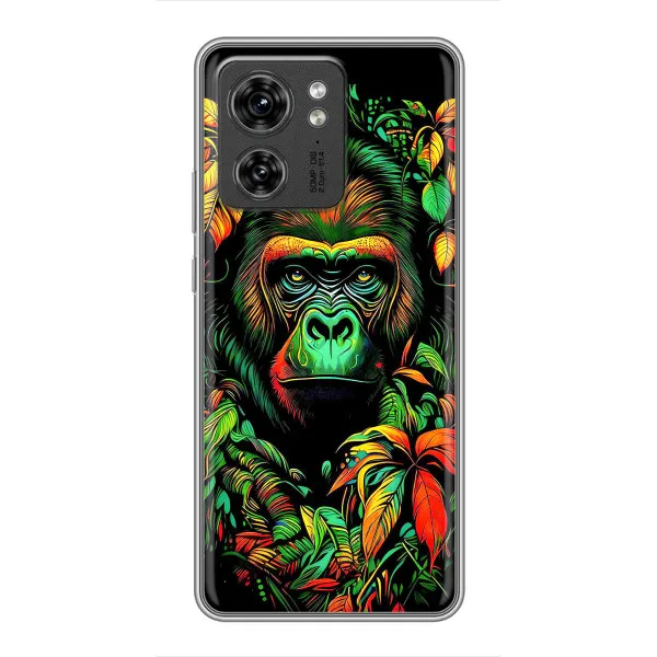 Чехол с принтом «Обезьяна в тропиках» для OPPO Reno 8 Pro 5G