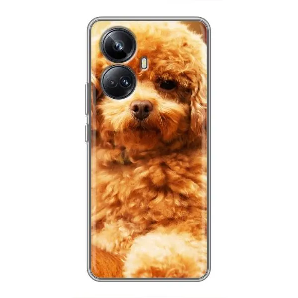 Чехол с принтом «Щенок Бишон» для Realme 10 Pro Plus