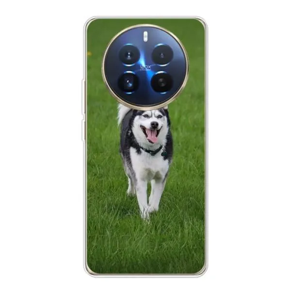 Чехол с принтом «Радостный Хаски» для Realme 12 Pro Plus