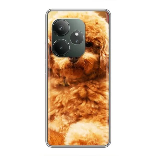Чохол з принтом «Цуценя Бішон» для Realme GT 6
