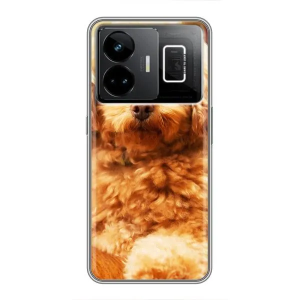 Чехол с принтом «Щенок Бишон» для Realme GT3