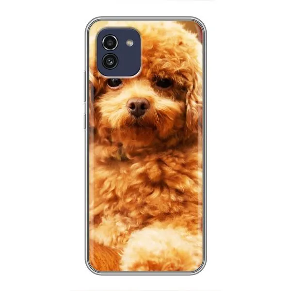 Чехол с принтом «Щенок Бишон» для Samsung Galaxy A03 (A035) Чехол с принтом «Щенок Бишон» для Samsung Galaxy A03 (A035)