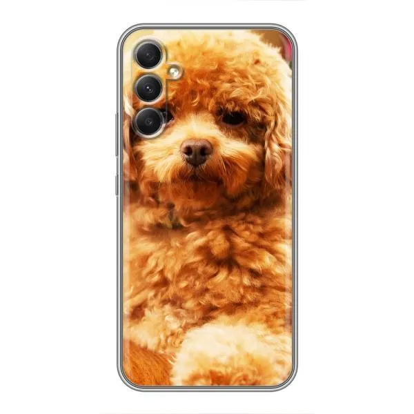 Чехол с принтом «Щенок Бишон» для Samsung Galaxy A34