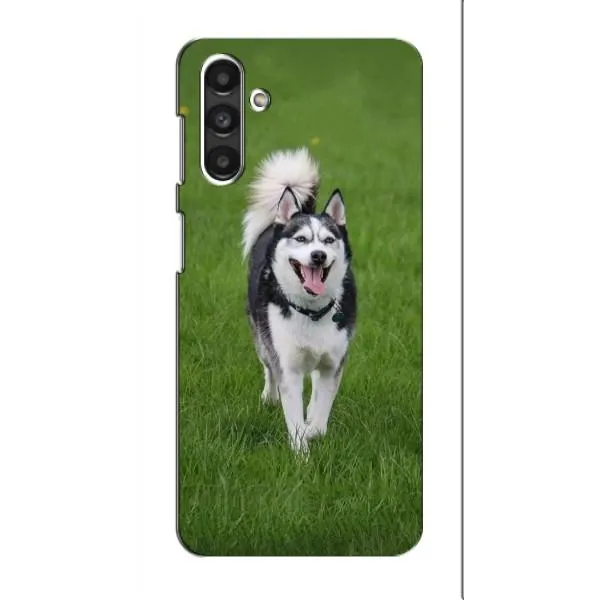 Чохол з принтом «Радісний Хаскі» для Samsung Galaxy M34 (5G)
