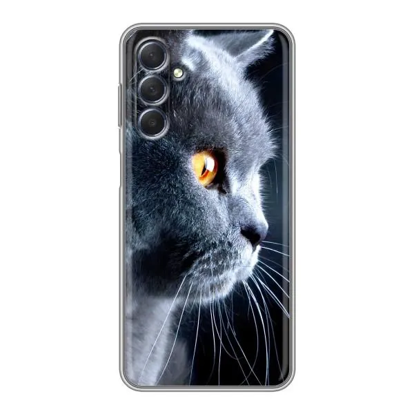 Чехол с принтом «Серый Кот» для Samsung Galaxy M54 (5G)