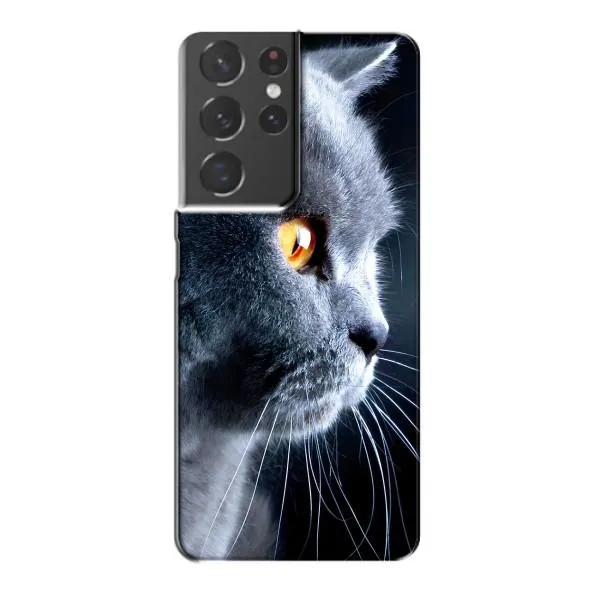 Чохол з принтом «Сірий Кіт» для Samsung Galaxy S21 Plus