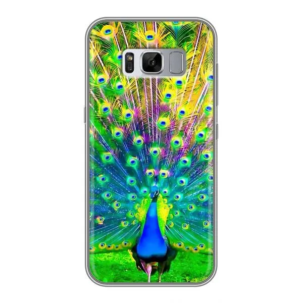 Чехол с принтом «Яркий Павлин» для Samsung Galaxy S8 Plus (G955) Чехол с принтом «Яркий Павлин» для Samsung Galaxy S8 Plus (G955)