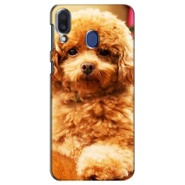 Чохол з принтом «Цуценя Бішон» для Samsung Galaxy M20 (M205)