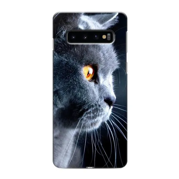 Чехол с принтом «Серый Кот» для Samsung Galaxy s10 Plus