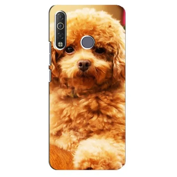 Чехол с принтом «Щенок Бишон» для TECNO Camon 12 Air CC6
