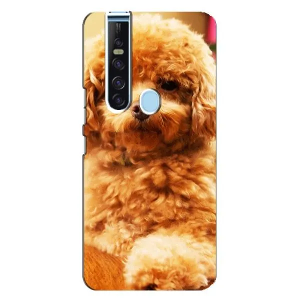 Чехол с принтом «Щенок Бишон» для TECNO Camon 15 Pro Чехол с принтом «Щенок Бишон» для TECNO Camon 15 Pro