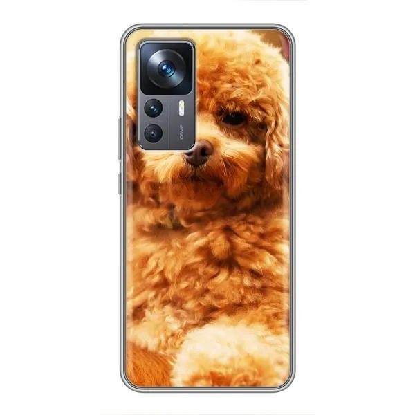 Чохол з принтом «Цуценя Бішон» для Xiaomi 12T Чохол з принтом «Цуценя Бішон» для Xiaomi 12T