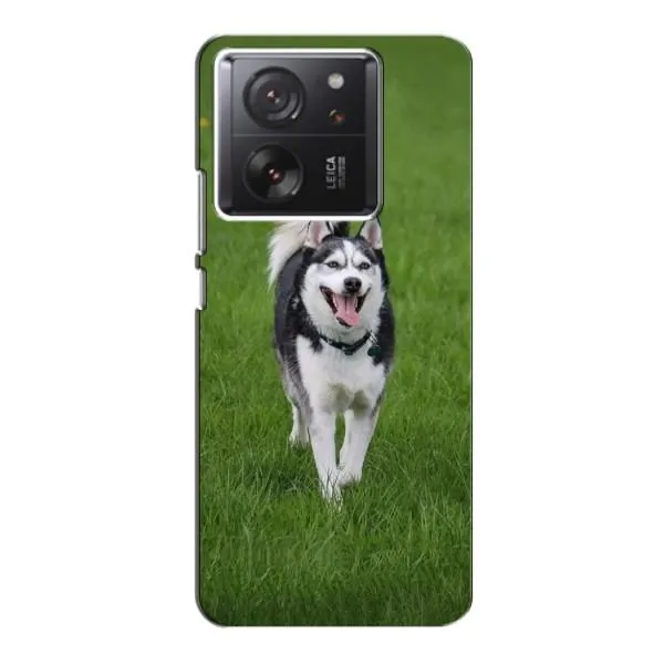 Чехол с принтом «Радостный Хаски» для Xiaomi 13T