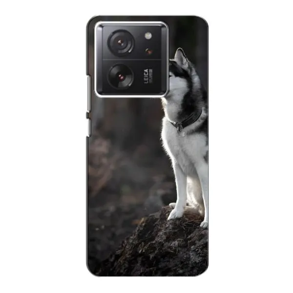 Чехол с принтом «Верный пес» для Xiaomi 13T