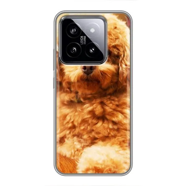 Чехол с принтом «Щенок Бишон» для Xiaomi 14 Чехол с принтом «Щенок Бишон» для Xiaomi 14