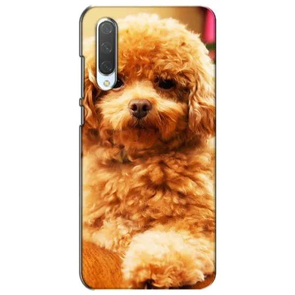 Чехол с принтом «Щенок Бишон» для Xiaomi Mi CC9e Чехол с принтом «Щенок Бишон» для Xiaomi Mi CC9e