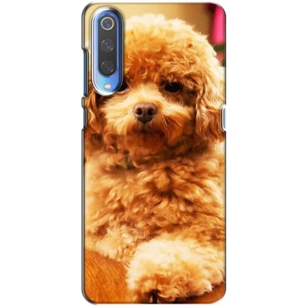 Чехол с принтом «Щенок Бишон» для Xiaomi Mi 9