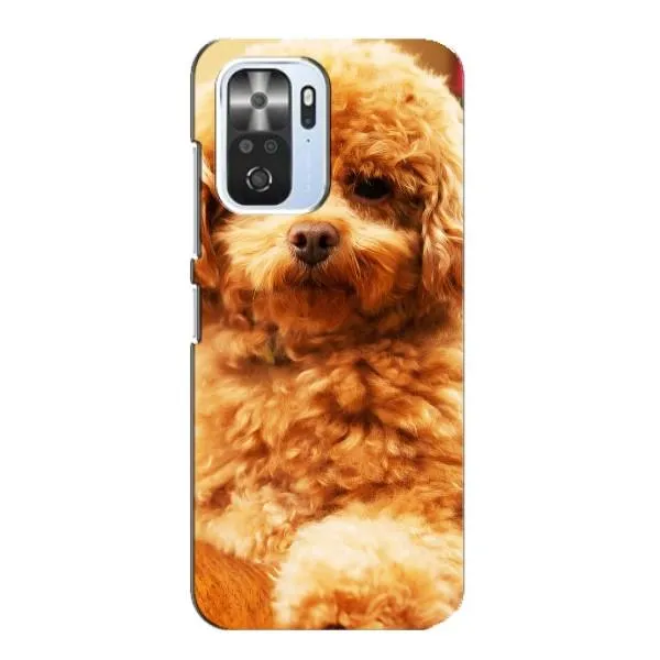 Чехол с принтом «Щенок Бишон» для Xiaomi POCO F3