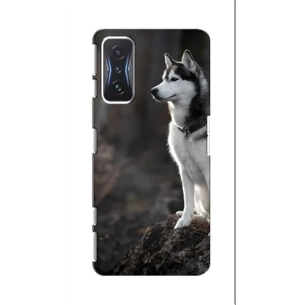 Чохол з принтом «Вірний собака» для Xiaomi POCO F4 GT