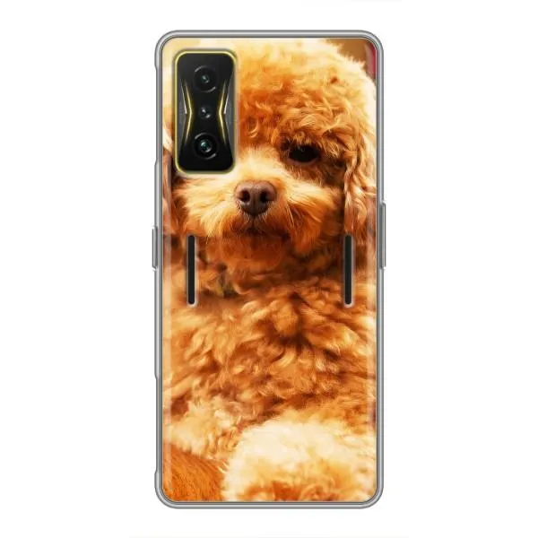 Чехол с принтом «Щенок Бишон» для Xiaomi POCO F4 GT