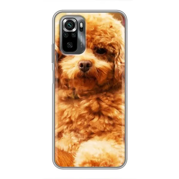 Чехол с принтом «Щенок Бишон» для Xiaomi POCO M5s